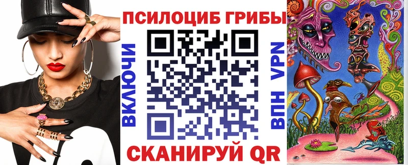 Псилоцибиновые грибы Psilocybe  купить  сайты  Южно-Сахалинск 